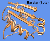 1bta (barstar)