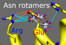 sidechain rotamers