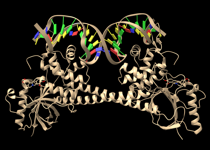 3d6y assembly